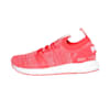 Hibiscus -Puma White