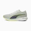 Gray Violet-Yellow Alert