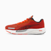 Cherry Tomato-Puma Black