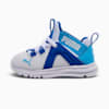 PUMA White-Vivid Blue-Team Light Blue