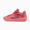 Stewie 2 Basketball Shoes, Passionfruit-Club Red, small-PHL