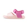 Chalk Pink-Opera Mauve