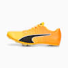 Sun Stream-Sunset Glow-Puma Black