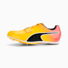 Sun Stream-Sunset Glow-Puma Black
