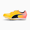 Sun Stream-Sunset Glow-Puma Black