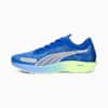 Royal Sapphire-PUMA Silver-Fizzy Lime