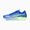 Royal Sapphire-PUMA Silver-Fizzy Lime