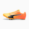 Sun Stream-Sunset Glow-Puma Black