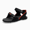Puma Black-Dark Shadow-Pureed Pumpkin