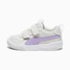 Sedate Gray-Vivid Violet