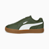 Forest Night-Puma White-Gum
