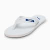 PUMA White-Victoria Blue