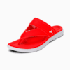 High Risk Red-Puma White