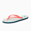 Nitro Blue-Peach Pink-Blue Coral