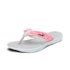 Platinum Gray-Sunset Pink