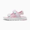 PUMA Evolve Sandals Kids, Rose Mauve-Lilac Frost-Peaceful Blue, small