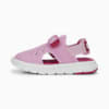 PUMA Evolve Alternative Closure Sandals Baby, Lilac Chiffon-PUMA White-Orchid Shadow, small-AUS