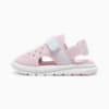 PUMA Evolve Alternative Closure Sandals Baby, Rose Mauve-Lilac Frost-Peaceful Blue, small