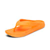 Neon Citrus