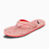 Lotus-Cloud Pink-Paradise Pink-PUMA Black
