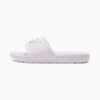 Lavender Fog-Puma Silver
