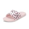 Chalk Pink-PUMA White-PUMA Black