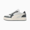 Feather Gray-Cool Dark Gray-Warm White