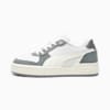 Feather Gray-Cool Dark Gray-Warm White
