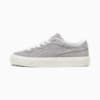 Concrete Gray-Frosted Ivory