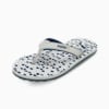 Inky Blue-Ash Gray-PUMA White