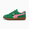 Archive Green-Pinkscape