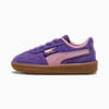 Team Violet-Poised Pink
