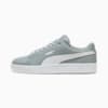 Grounded SL Unisex Sneakers, Cool Mid Gray-PUMA White, small-NZL