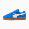 Hyperlink Blue-Gum