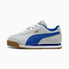 Cool Light Gray-Vivid Blue
