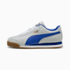 Cool Light Gray-Vivid Blue
