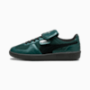 รองเท้าผ้าใบ PUMA x HARRY POTTER Palermo 2, Dark Myrtle-PUMA Black, small-THA