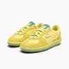 Pineapple Ice-Parakeet Green-Warm White