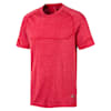 High Risk Red Heather