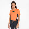 Deep Apricot-Dark Slate