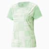 Light Mint-AOP
