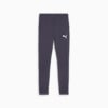 PUMA RUN Brushed Tights Men, Galactic Gray, small