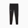 SEASONS Microfleece Laufhose Herren, PUMA Black, small