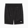 TAD ESSENTIALS Graphic 7" Woven Shorts Men, PUMA Black, small