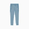 TAD ESS AOP Poly Pants Youth, Cool Blue, small