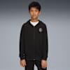 Active Sports Full-Zip Hoodie - Youth 8-16 years, PUMA Black, small-AUS