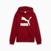 Classics Logo Hoodie - Boys 8-16 years, Intense Red, small-NZL