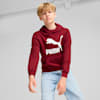 Classics Logo Hoodie - Boys 8-16 years, Intense Red, small-NZL