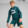 Classics Logo Hoodie - Boys 8-16 years, Cold Green, small-AUS