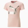 Classics Logo Tee Youth, Rose Dust, small-SEA